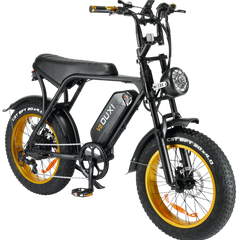 Elektrische Fiets OUXI