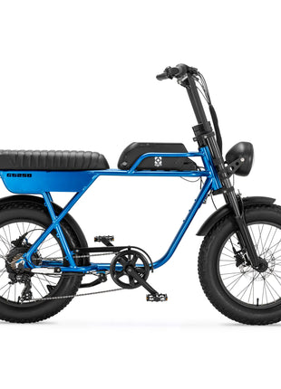 AGM GT250 Fatbike