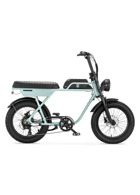 AGM GT250 Fatbike