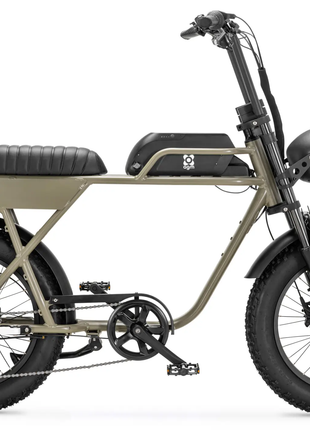 AGM GT250 Fatbike