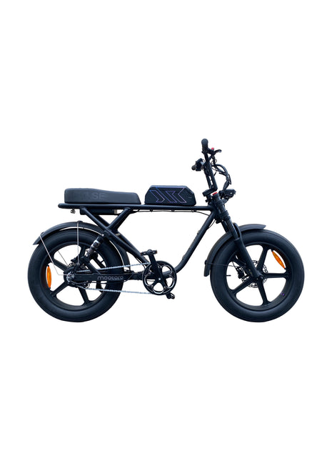 Pulse R1 Cross Fatbike