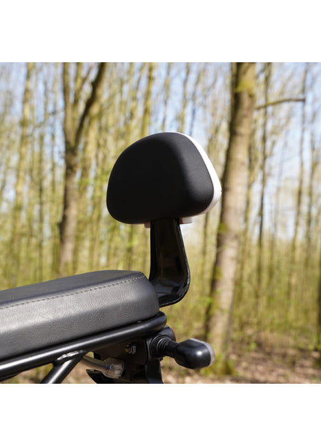 Goccia Rugleuning achterpassagier