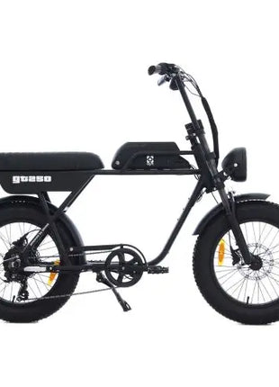 AGM GT250 Fatbike