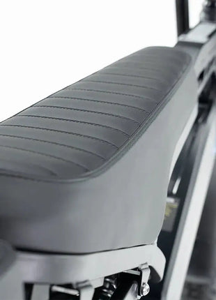 QMWheels V20 Pro Fatbike