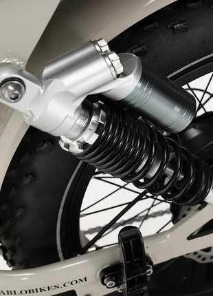 Diablo Zipper Fatbike lage Instap