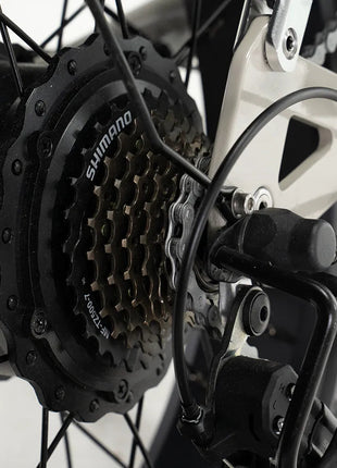 Diablo Zipper Fatbike lage Instap