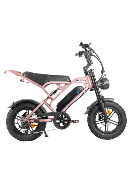 QmWheel V20 Mini Fatbike