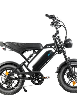 QmWheel V20 Mini Fatbike