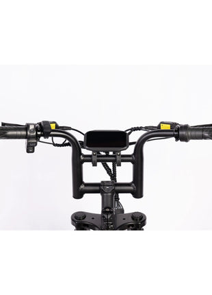 QmWheel V20 Mini Fatbike