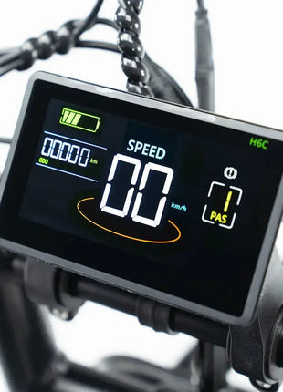 QMWheels V20 Pro Fatbike